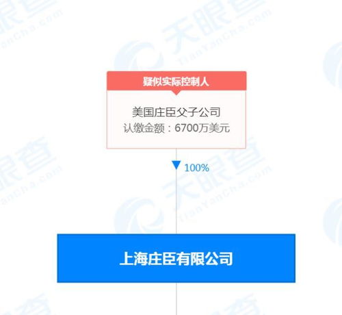 广告发布 有效触达目标受众的艺术与策略